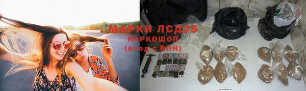 гидропоника Верея