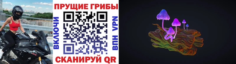 Псилоцибиновые грибы мицелий Ленинградская